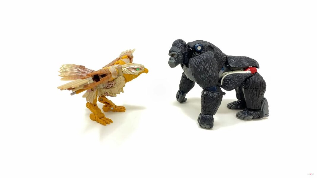 Image Of Rise Of The Beasts Studio Series Airazor Toy  (36 of 55)
